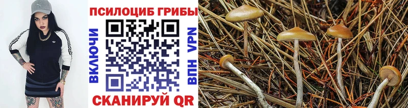 Галлюциногенные грибы мицелий  Купить закладки  Ипатово 